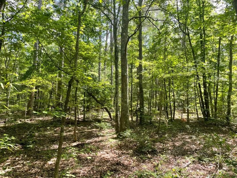+/-7.40 Acres – Tract 3 On Clatworthy Road in Honea Path, SC