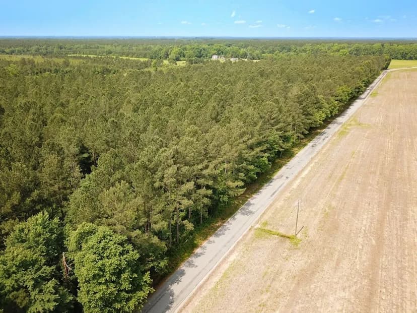 UPDATED!! 38 Acres of Timberland For Sale in Sussex County, VA!