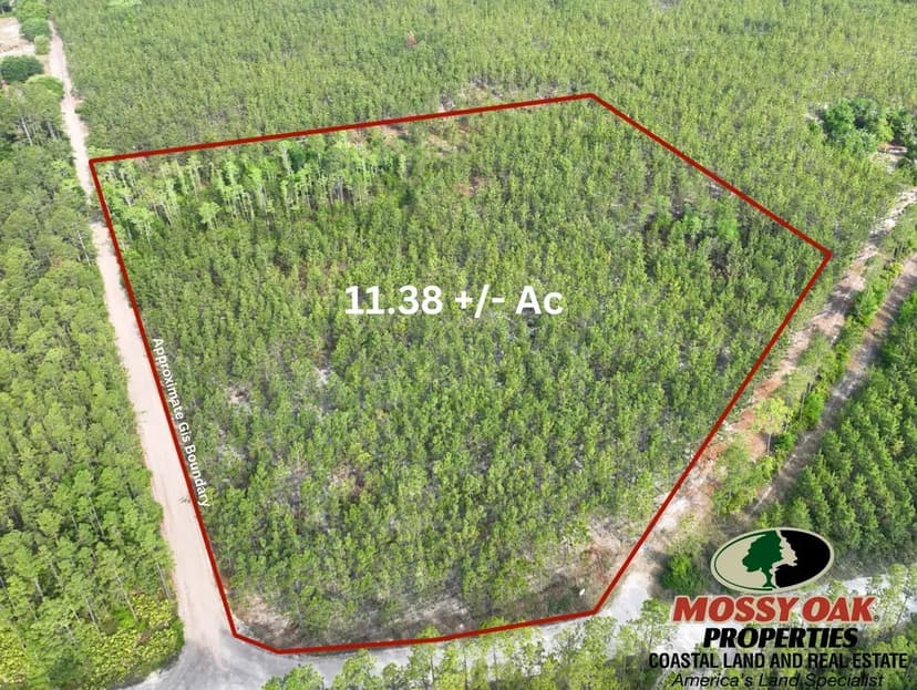 11.38 +/- Ac Recreational Timberland for Sale in Charlton County, GA
