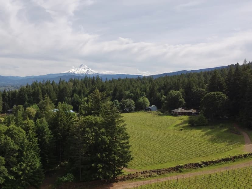 Stunning Vineyard Estate in the Columbia Gorge