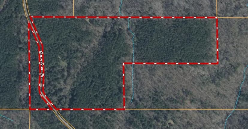 59 Acres in Carroll County, MS