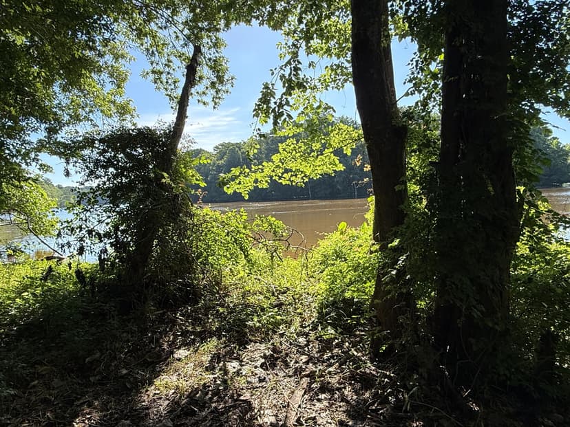 101 Acres on Roanoke River — Hunt, Fish & Build!
