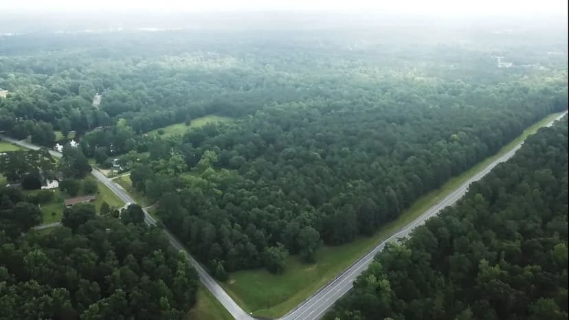 3490 Tidwell Road Lizella Ga (18.5 ac)