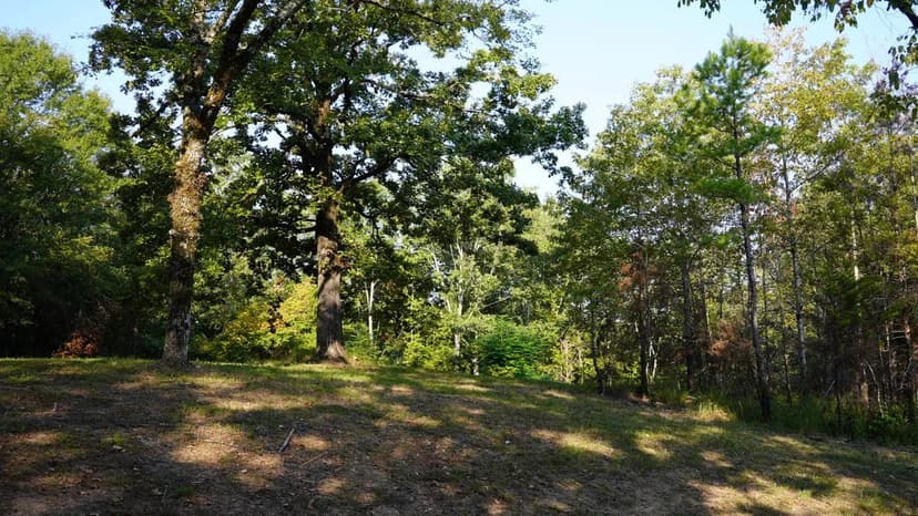 19.5 Acres in Grenada County in Grenada, MS