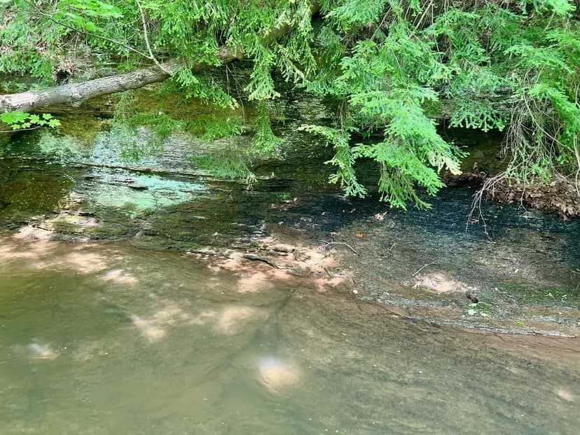 Oak Grove Rd., Beaver County - 131 +/- Acres