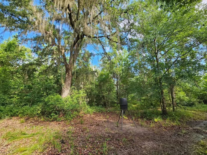 31.17 Ac Land for Sale in Camden County, GA