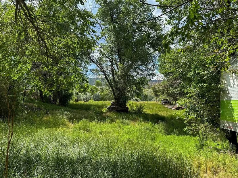 Cuba Commercial Property - Mixed Opportunity