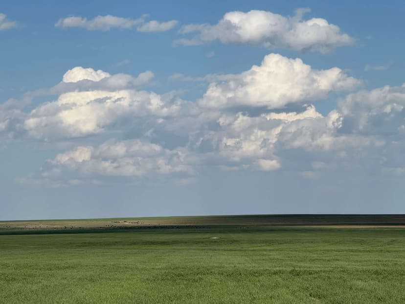 2,559 +/- Acres in Deaf Smith County