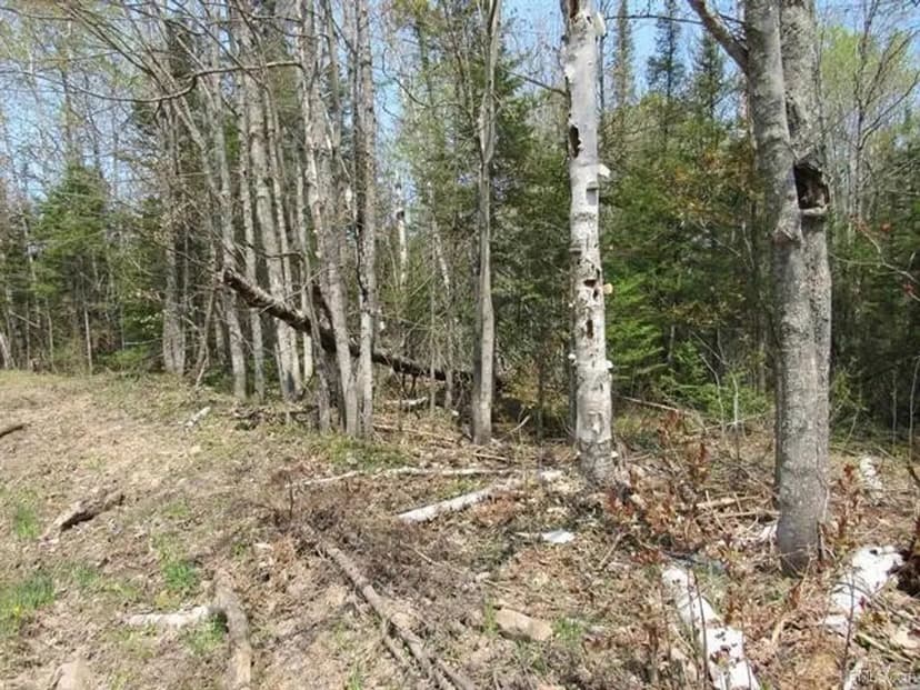 60 Acre Recreational Parcel 50157048