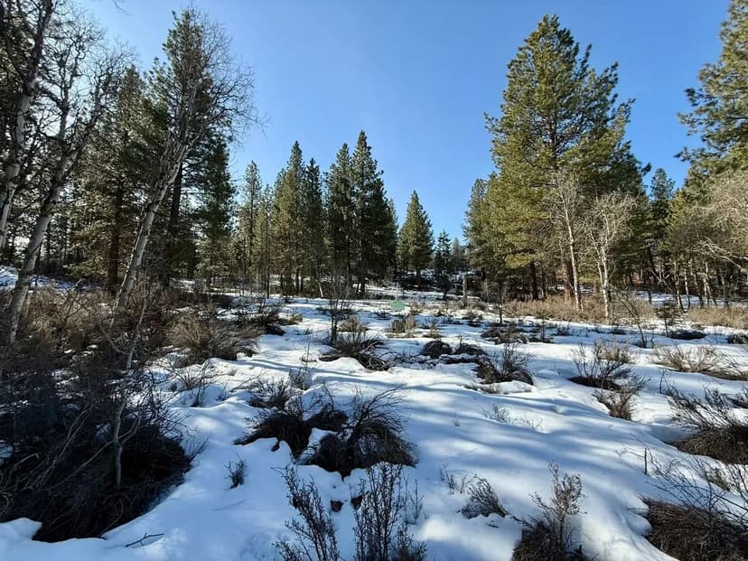 5 Acres- German Brown Ln. Chiloquin, OR