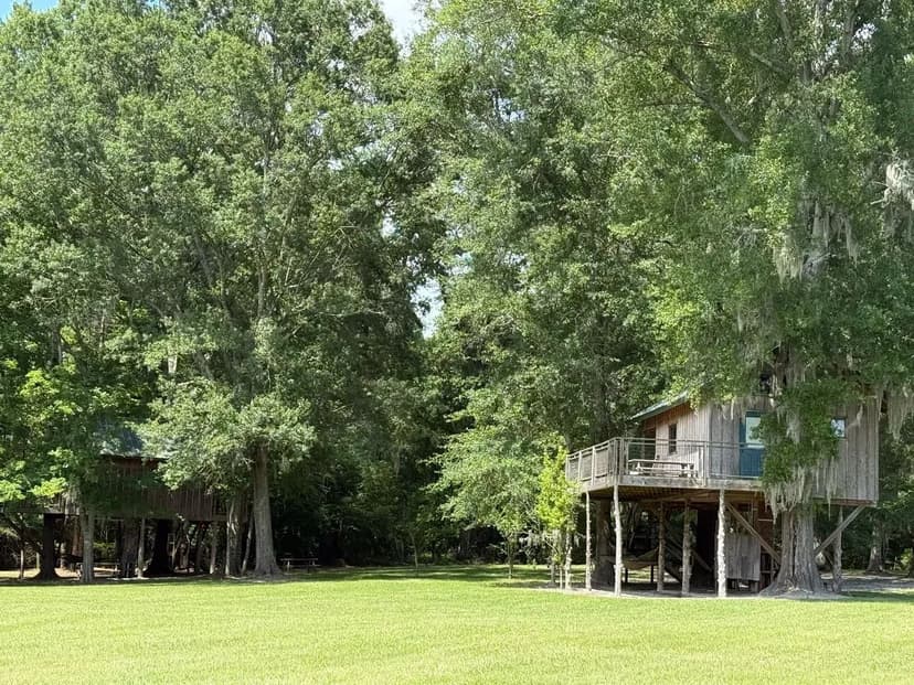 STEEP CREEK - Hunting camp retreat with 2 cabins, Flex facility with income potential, big woods & 2 ponds