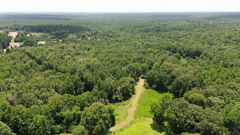 80 Acres in Tallahatchie County in Cascilla, MS