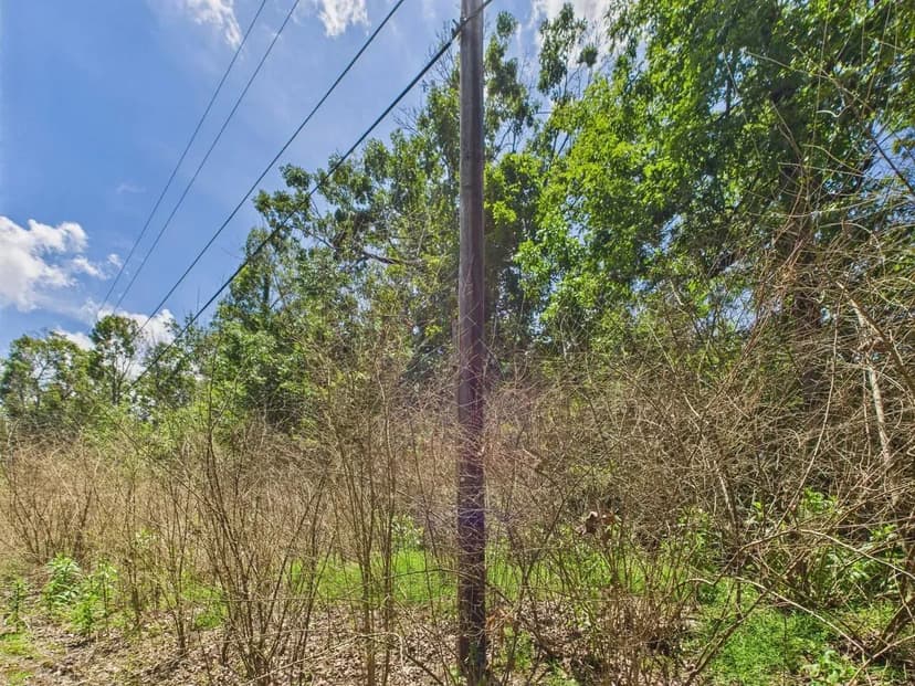 Affordable Lot near Lake Wappapello, MO