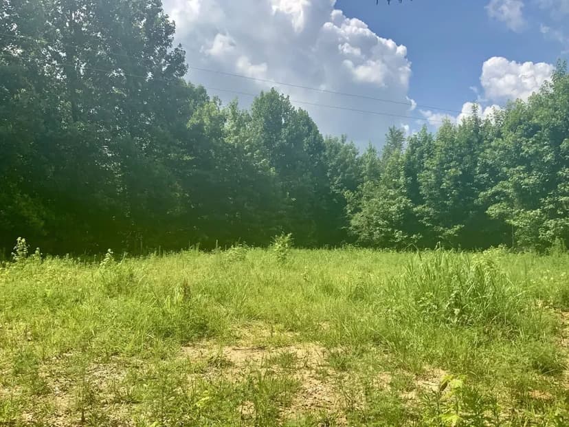 Private 5.04 Acre lot with Power in Henry County, Tennessee!