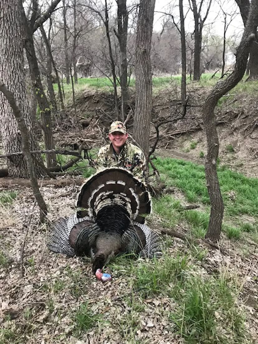 589+/- Acres For Sale in Norton County, KS