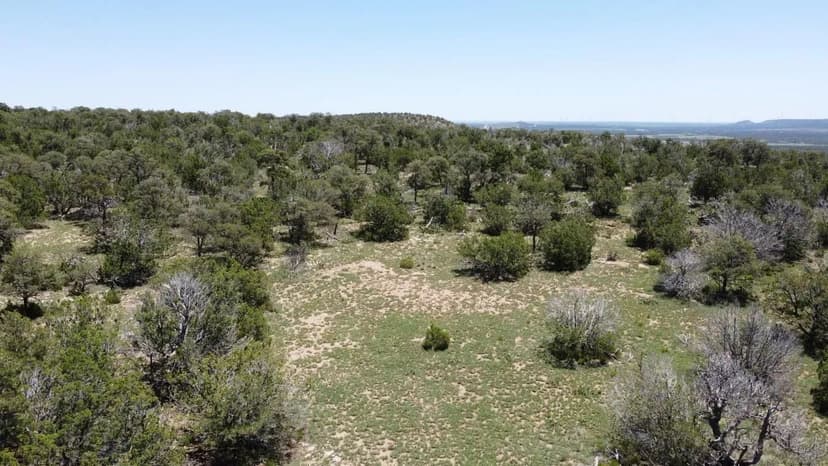 Lot 16 Swayback Trail