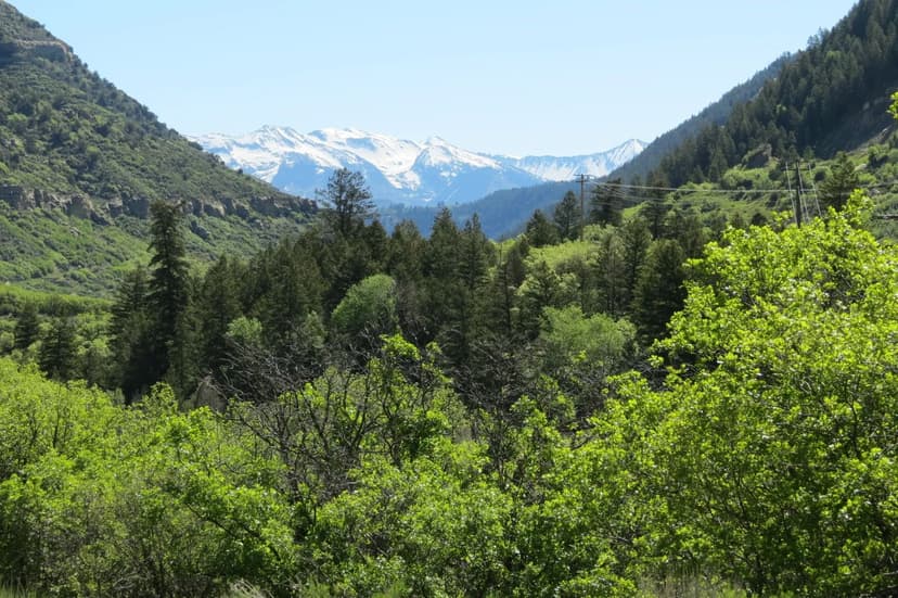 North Fork of the Gunnison