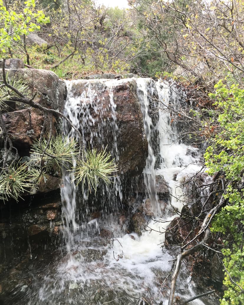 5162 Raven Gulch Road