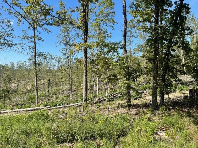 56+/- AC of Highway 34 Frontage in Piedmont, MO