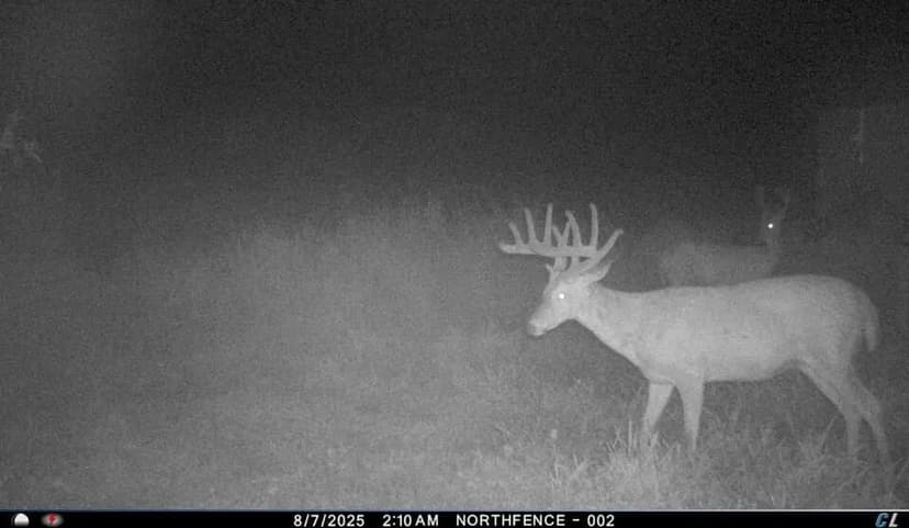 WEST LAKE SANCTUARY " WHERE DREAMS BECOME REALTY" / ONLINE - PHONE BID AUCTION / 80 +/-ACRES / CULVER, IN / MARSHALL COUNTY