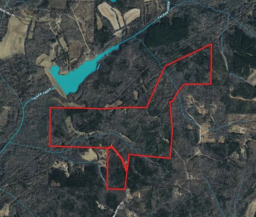 246.7 Acres in McNairy County, TN