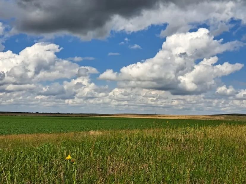 472.54 Acres +/- Land for Sale