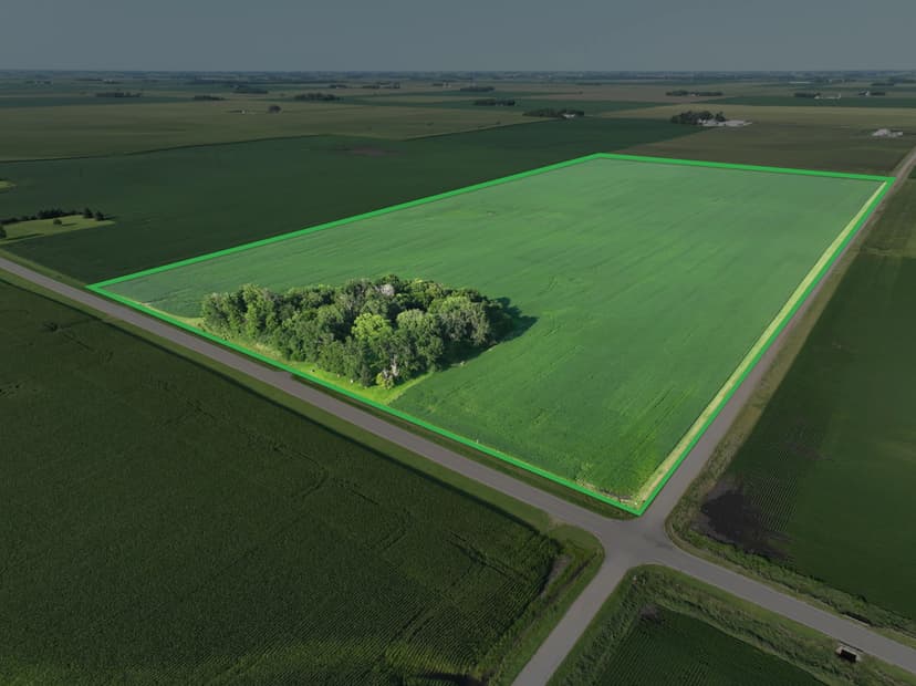 79.53 acre Farmland Auction - Faribault County