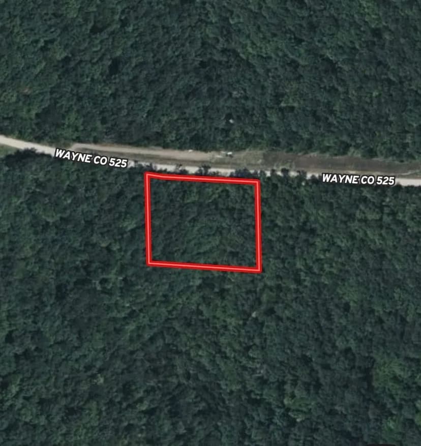 2+/-AC Lot For Sale Near Lake Wappapello