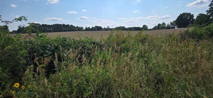 27.5 Pasture with Pond Hwy 16 & Wesley Chapel Rd