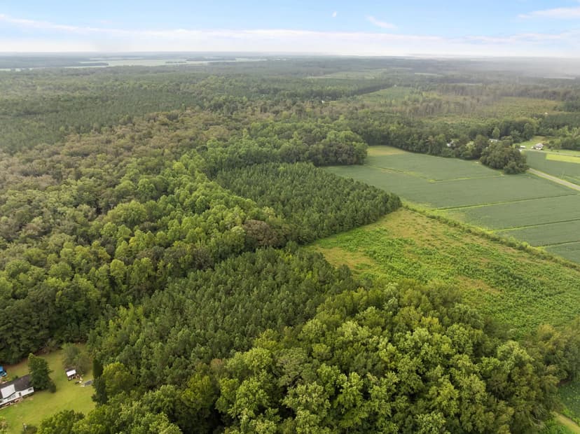 59 Acres of Farmland & Timberland in Rural NC - Great Hunting