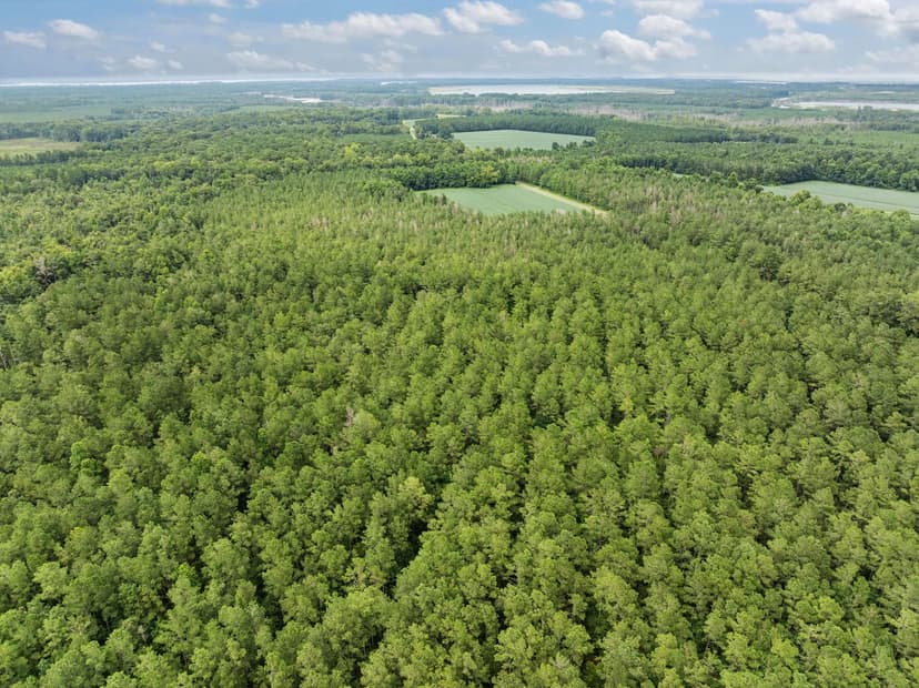 77-Acre Farm & Timberland with Hunting Near Aurora, NC