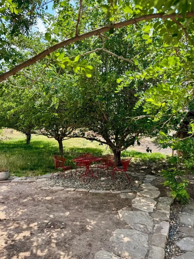 Cienega Amarilla Ranch