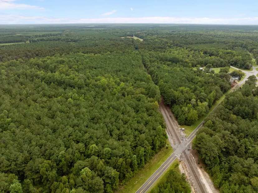 305 Acres Farmland & Timber with Hunting in NC