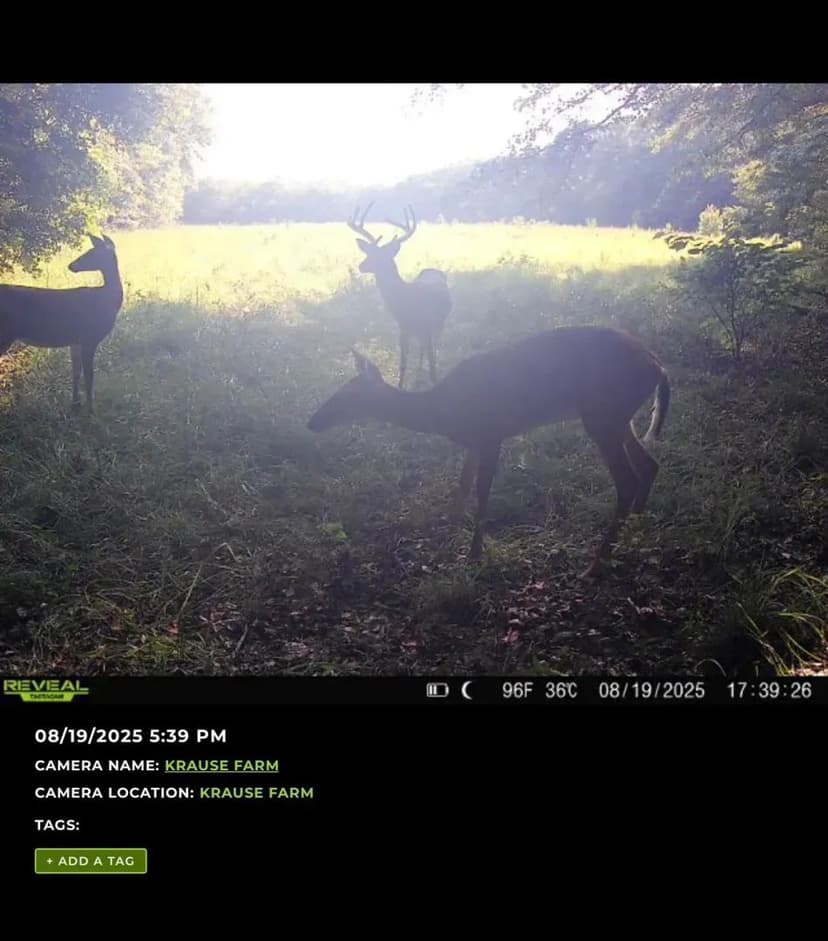 Krause Farm Hideaway