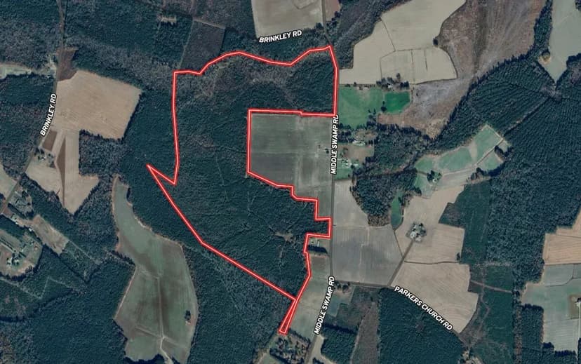 UNDER CONTRACT!! 149 Acres of Recreational Timber Land For Sale in Gates County NC!