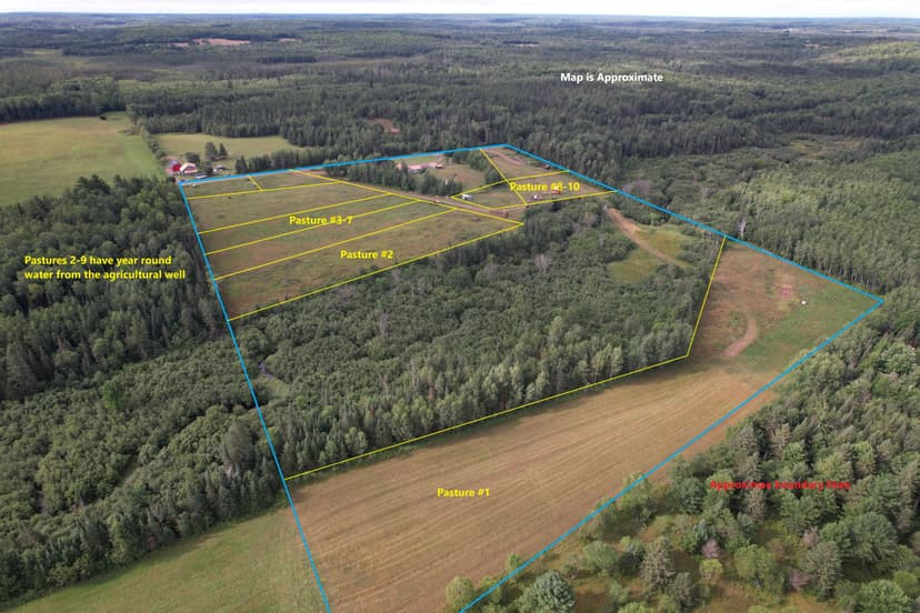 Updated Country Home with 29 Acres of Land for Sale in Glidden, Wisconsin