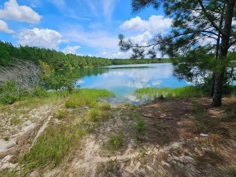 84.5+/- Acres with 15+ Acre Lake for Sale in Wayne Co, GA