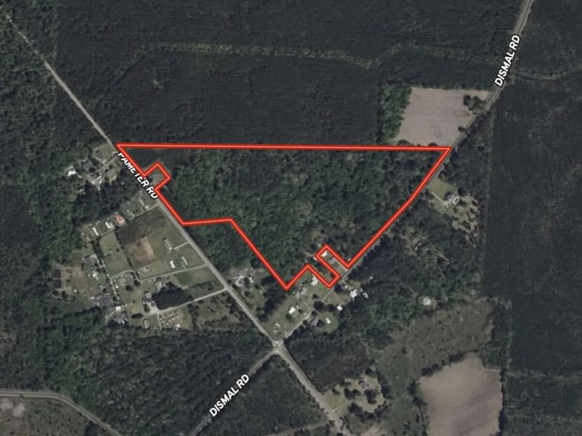 32.22 Acres of Timber and Recreational Land For Sale in Columbus County NC!