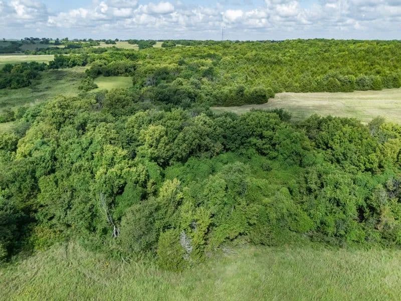160-Acre Hunting Ranch in Williamsburg, KS for Sale