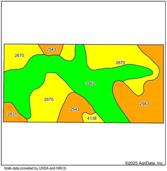 Custer County Dry Crop