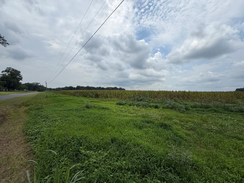 LA - West Carroll 231 acres +/-