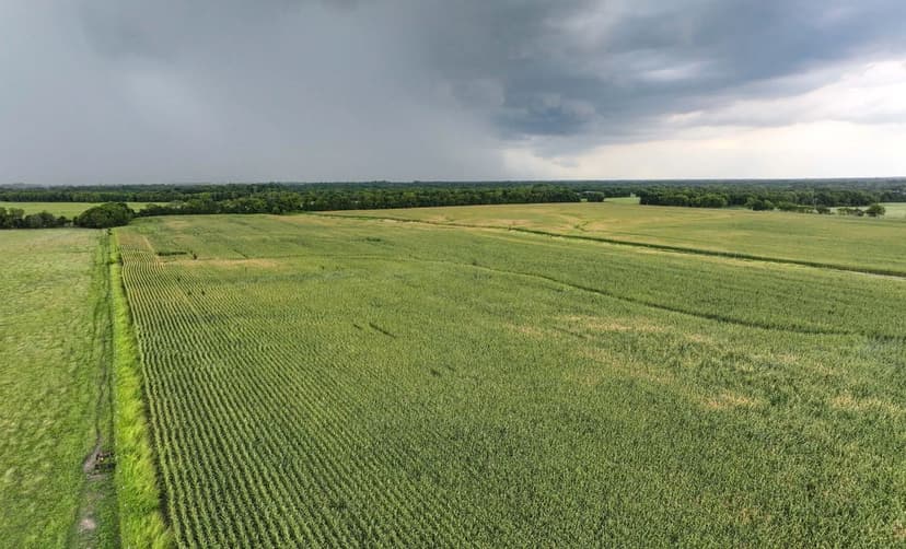 Knutson Highway 11 Farm