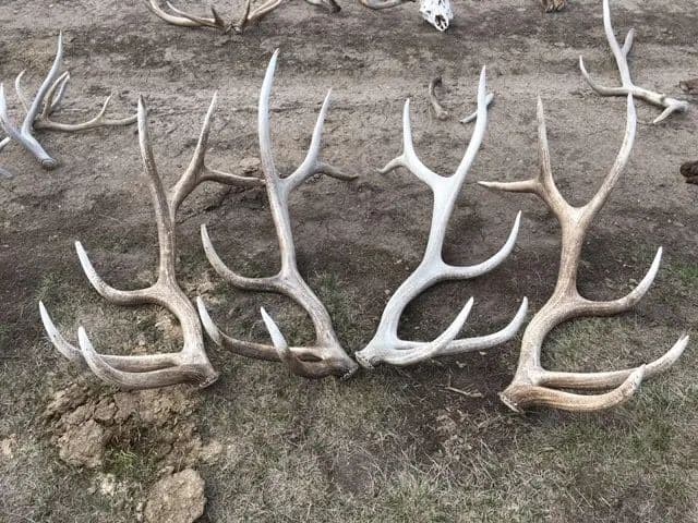 New Property East Ridge Ranch