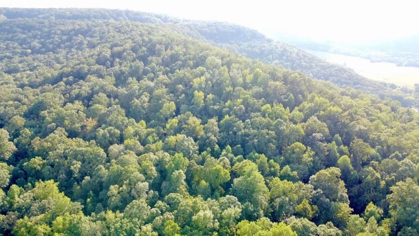 80 Acre Private Retreat