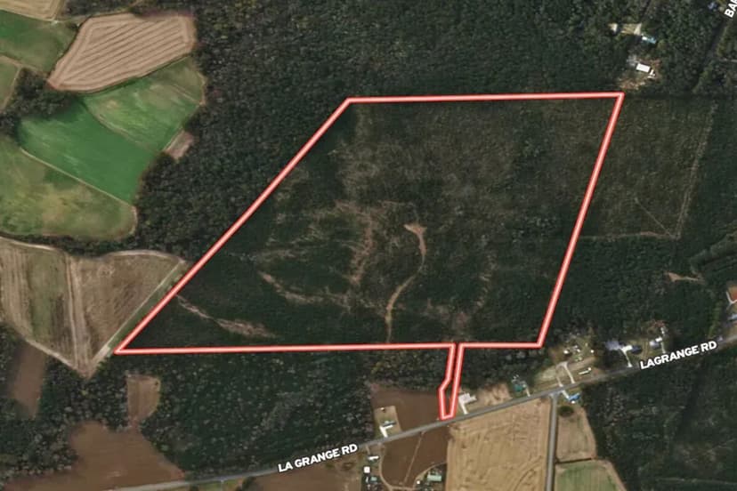 86.69 acres of Timberland, Residential, and Development Land for Sale in Wayne County, NC!
