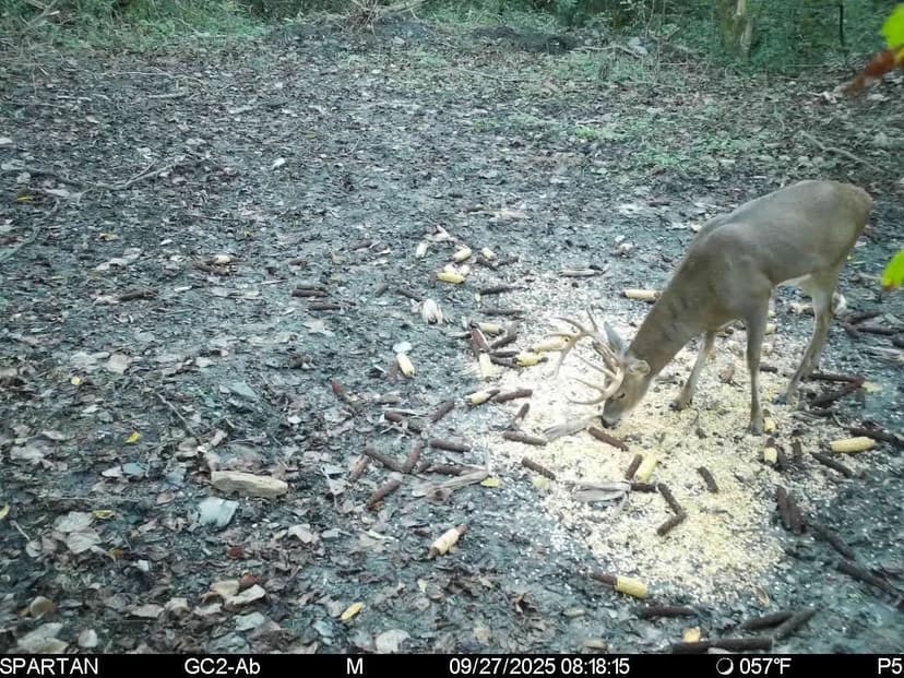 70 Acres in Ohio County, KY