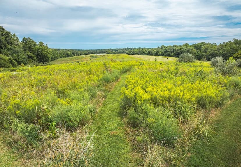 Rocky Comfort Cabins: A Unique Turnkey Investment for Sale - Union County