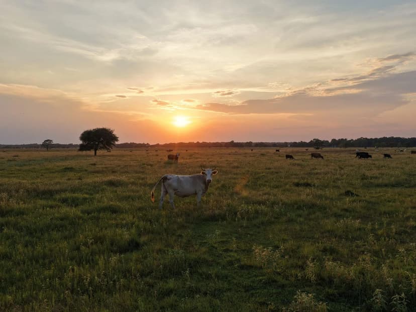 000 Hwy 65, Anahuac, TX 77514 - Chambers County