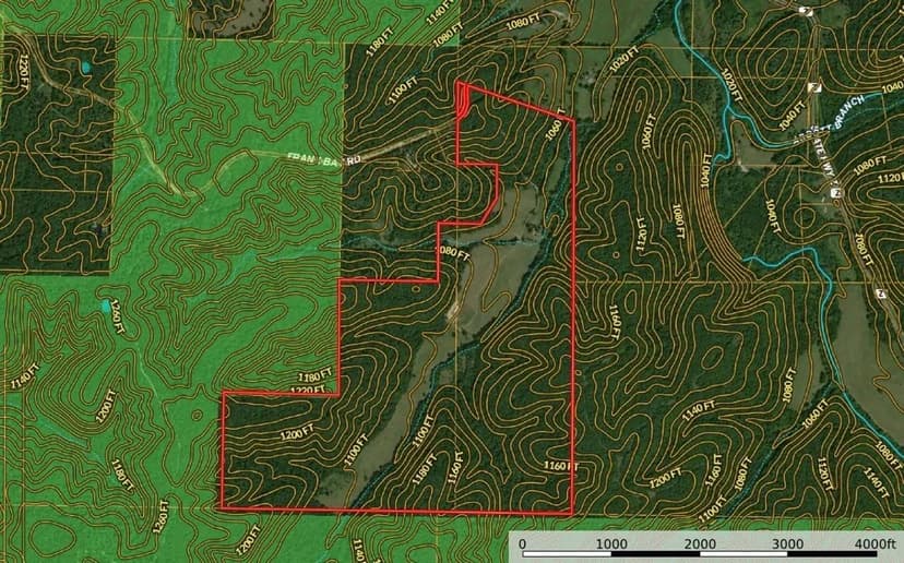 4263 County Rd 1, Viburnun