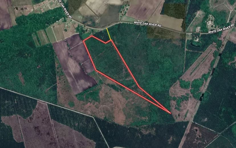 UNDER CONTRACT!! 41 acres of Planted Timber Land For Sale in Onslow County NC!